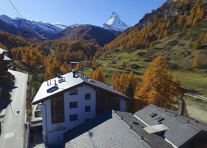 Hotel Plateau Rosa 3*