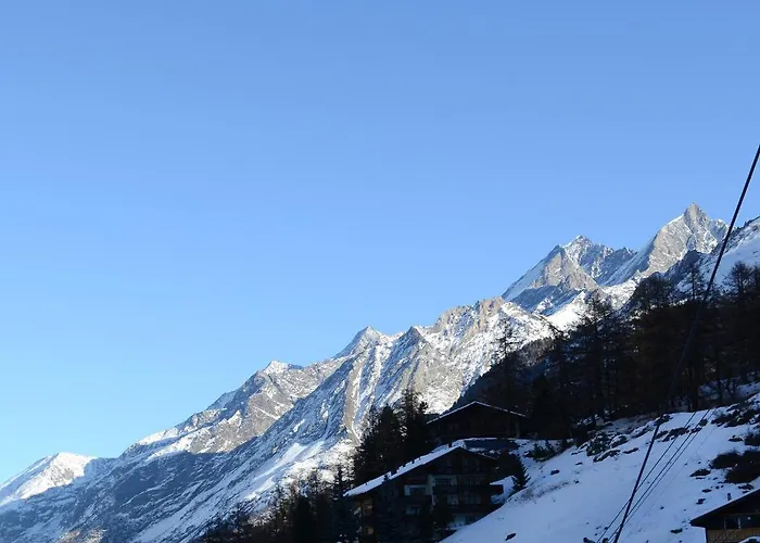 Hotel Plateau Rosa 3*